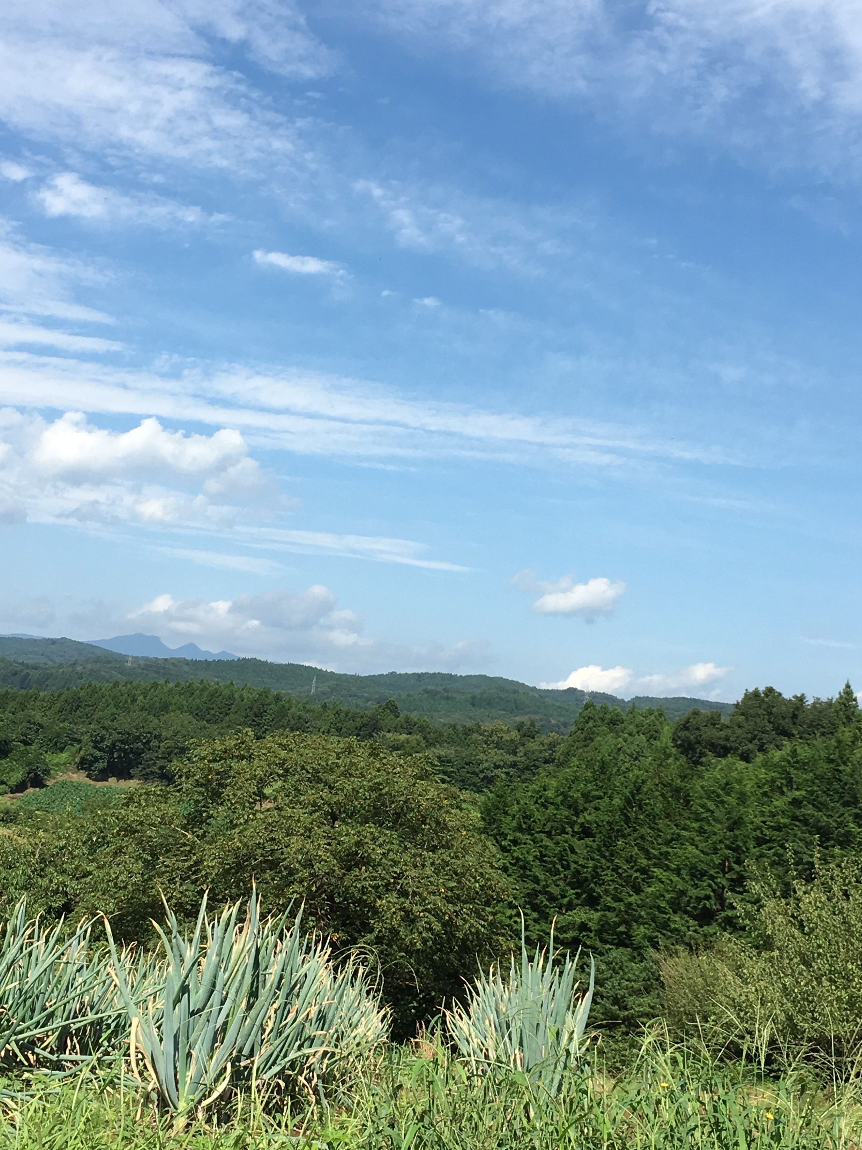 県南のお客様へ